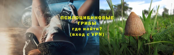 трава Покачи