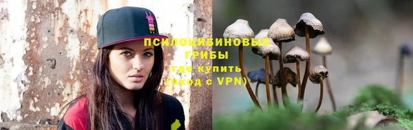 трава Покачи