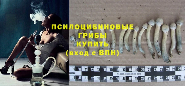 бутират Пересвет