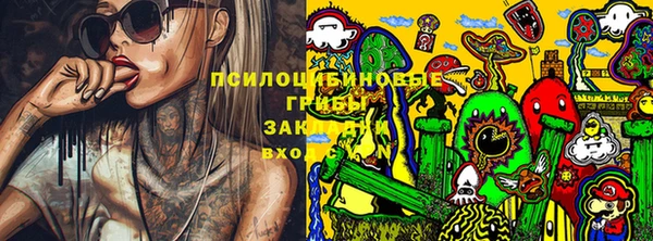 трава Покачи