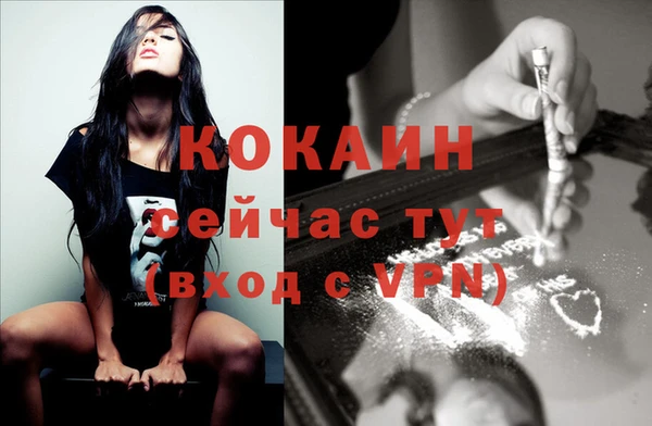 крисы Жердевка