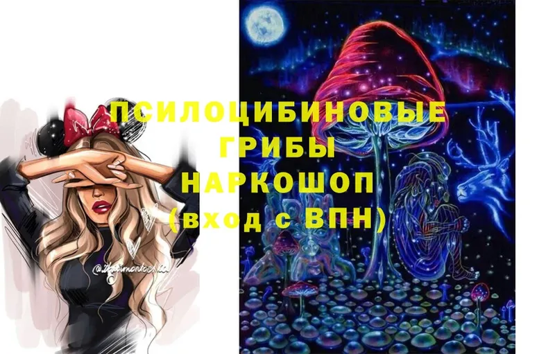 Псилоцибиновые грибы MAGIC MUSHROOMS  даркнет клад  Кондрово 