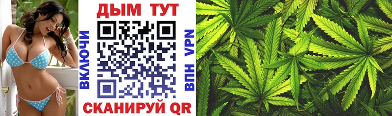 магазин Кондрово маркетплейс телеграм Шишки марихуана Ganja